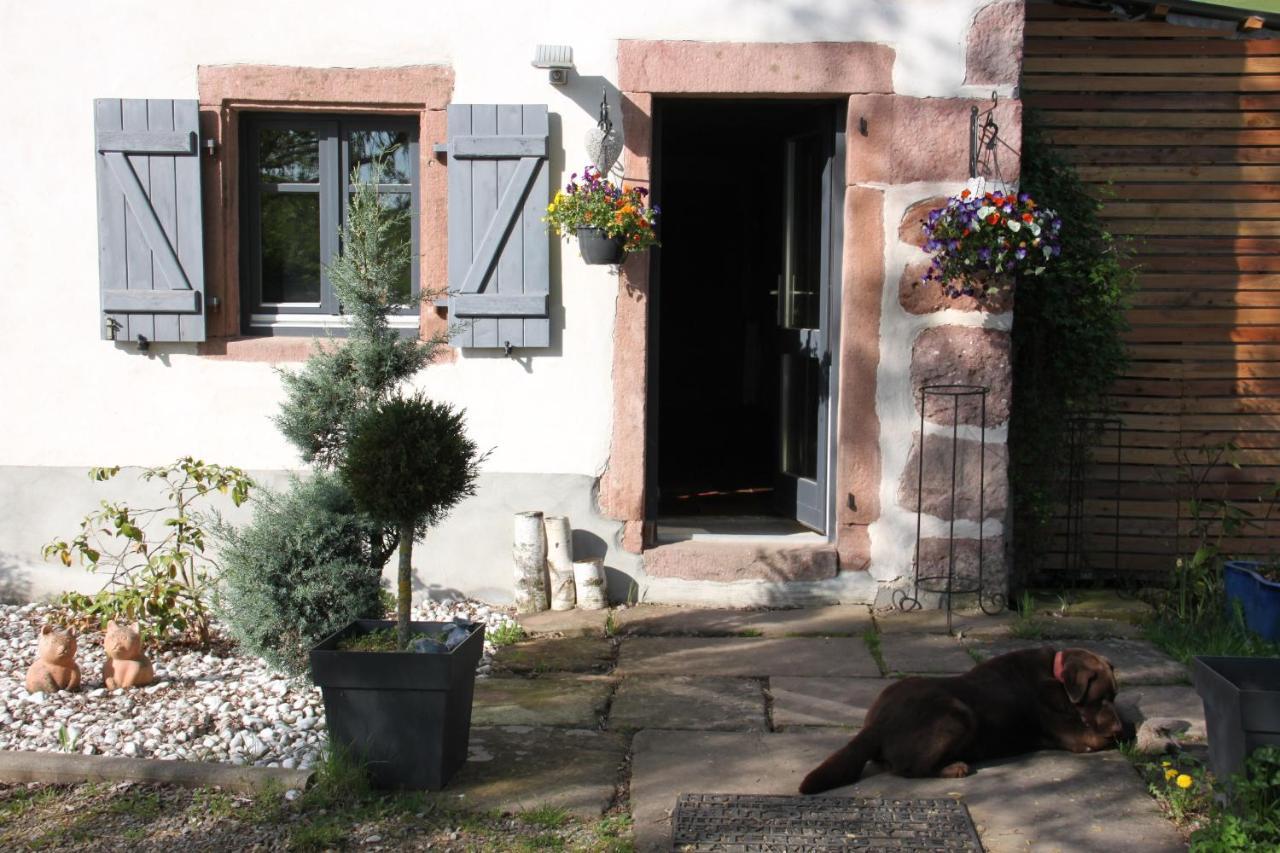 Bed and Breakfast La Colline Du Baa Lapoutroie Esterno foto